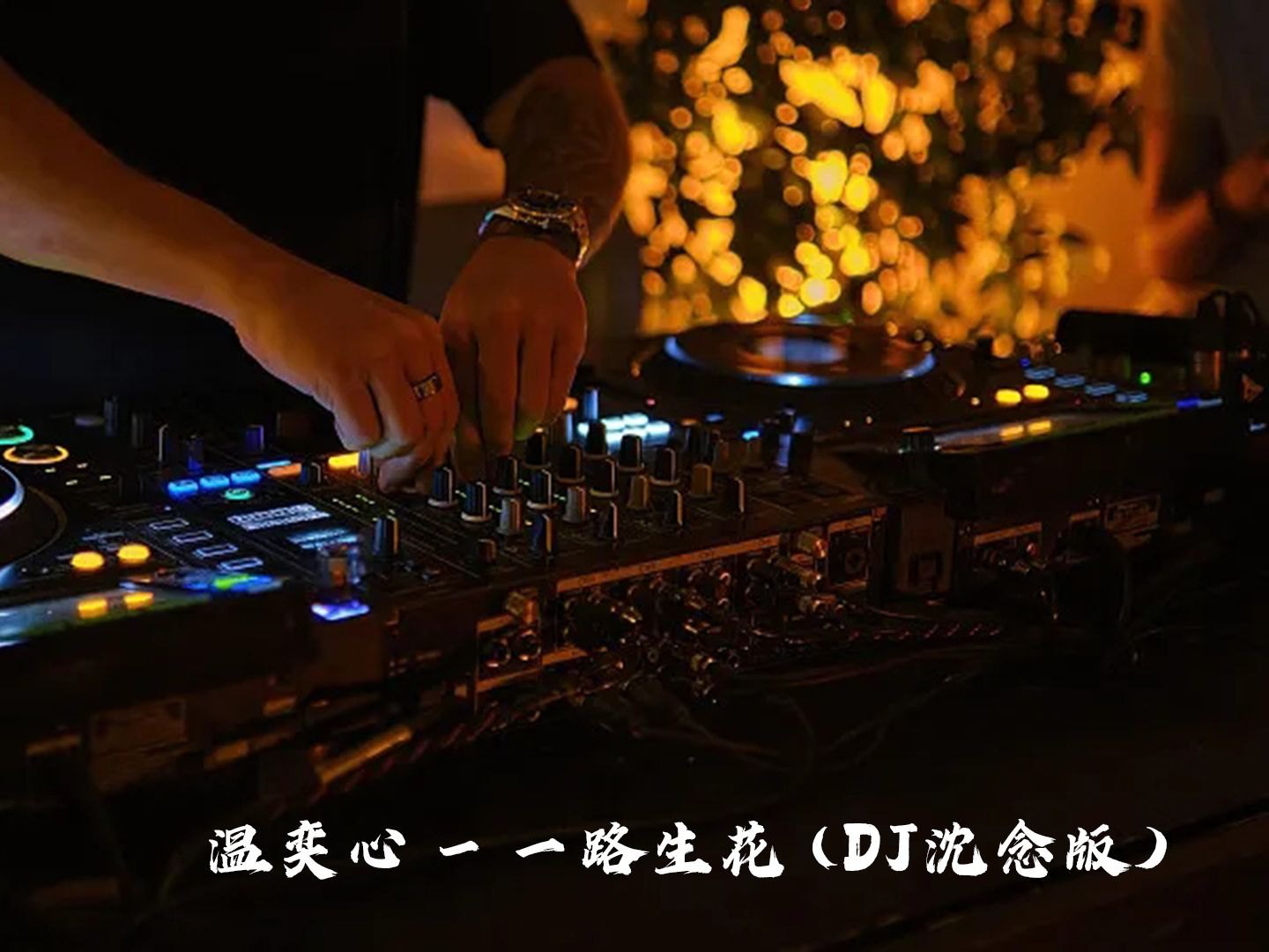 《一路生花》DJ版 视频合集