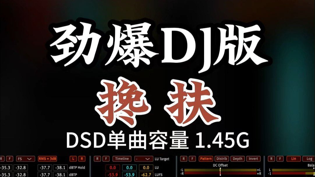 搀扶dj 视频合集